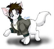 Kiba Kitty.jpg