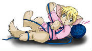 Quatre Kitty (New).jpg