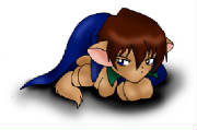Seto Kitty.jpg